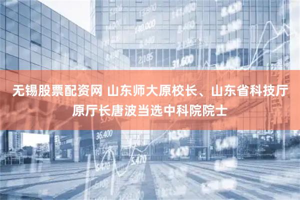 无锡股票配资网 山东师大原校长、山东省科技厅原厅长唐波当选中科院院士