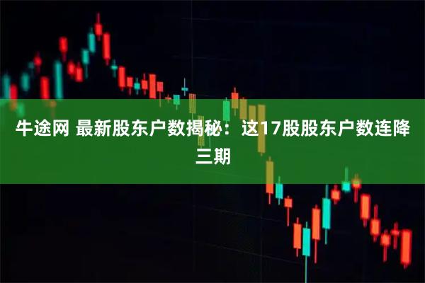 牛途网 最新股东户数揭秘：这17股股东户数连降三期
