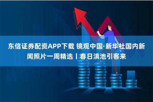 东信证券配资APP下载 镜观中国·新华社国内新闻照片一周精选丨春日滇池引客来
